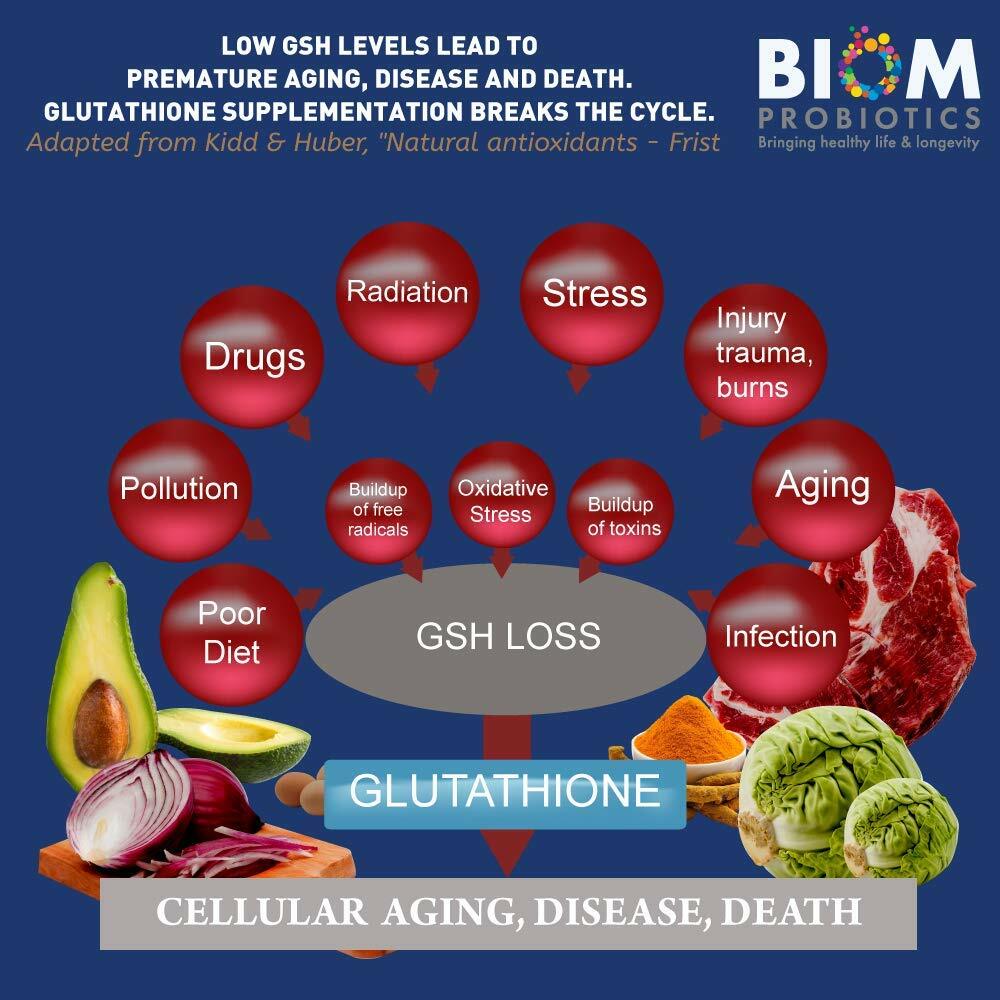 L-Glutathione + Probiotic Suppository (30 count)