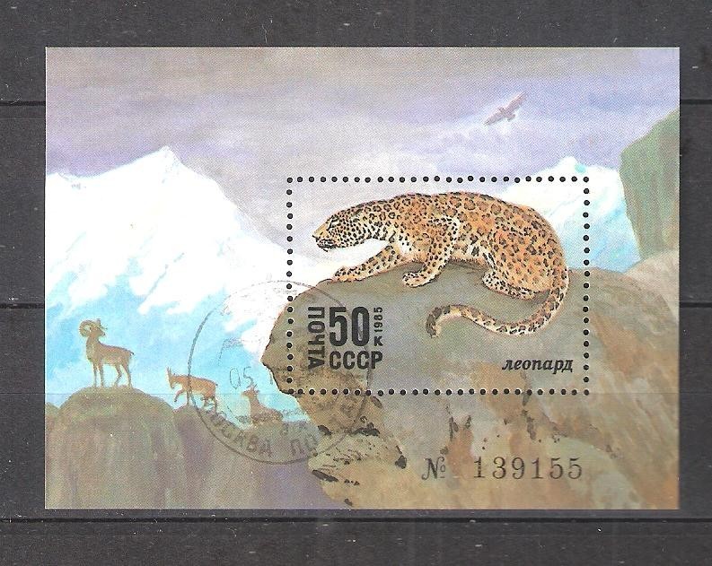 Soviet Union Block 185 1985 Pf. Snow Leopard -1265