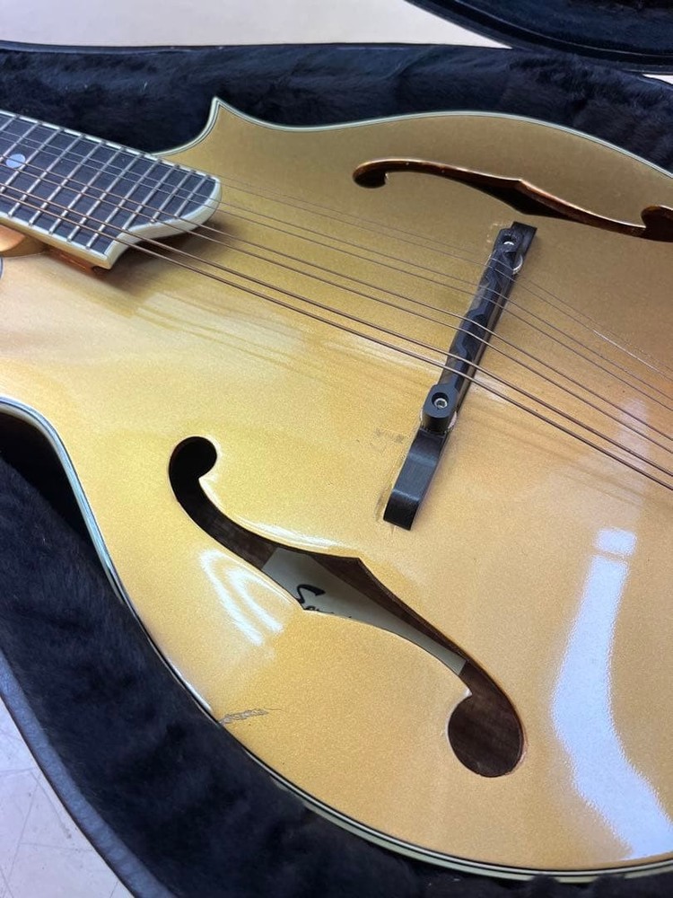 Earlham Gold Mandolin 8-String