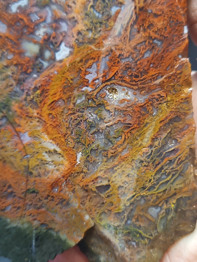 Murray Mountain Moss Agate Slab Specimen (14 oz)