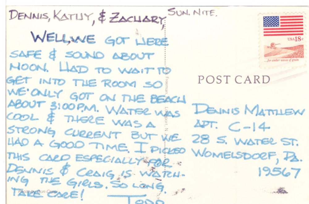 ENJOYING THE SUN ON THE BEACH - PC3278