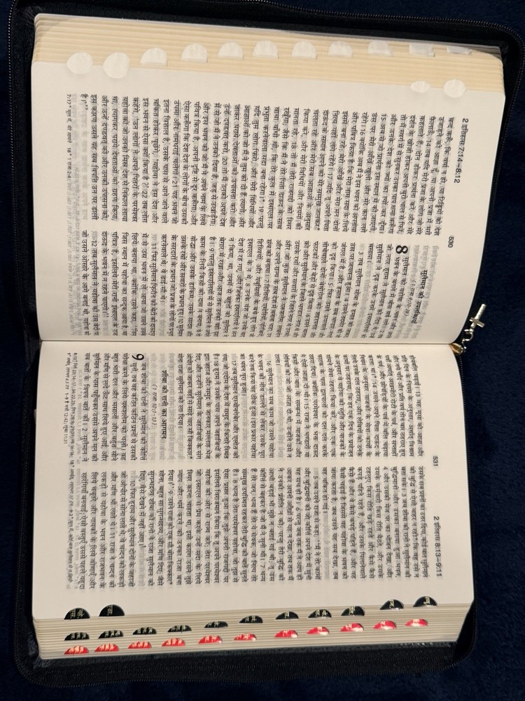 Hindi Bible
