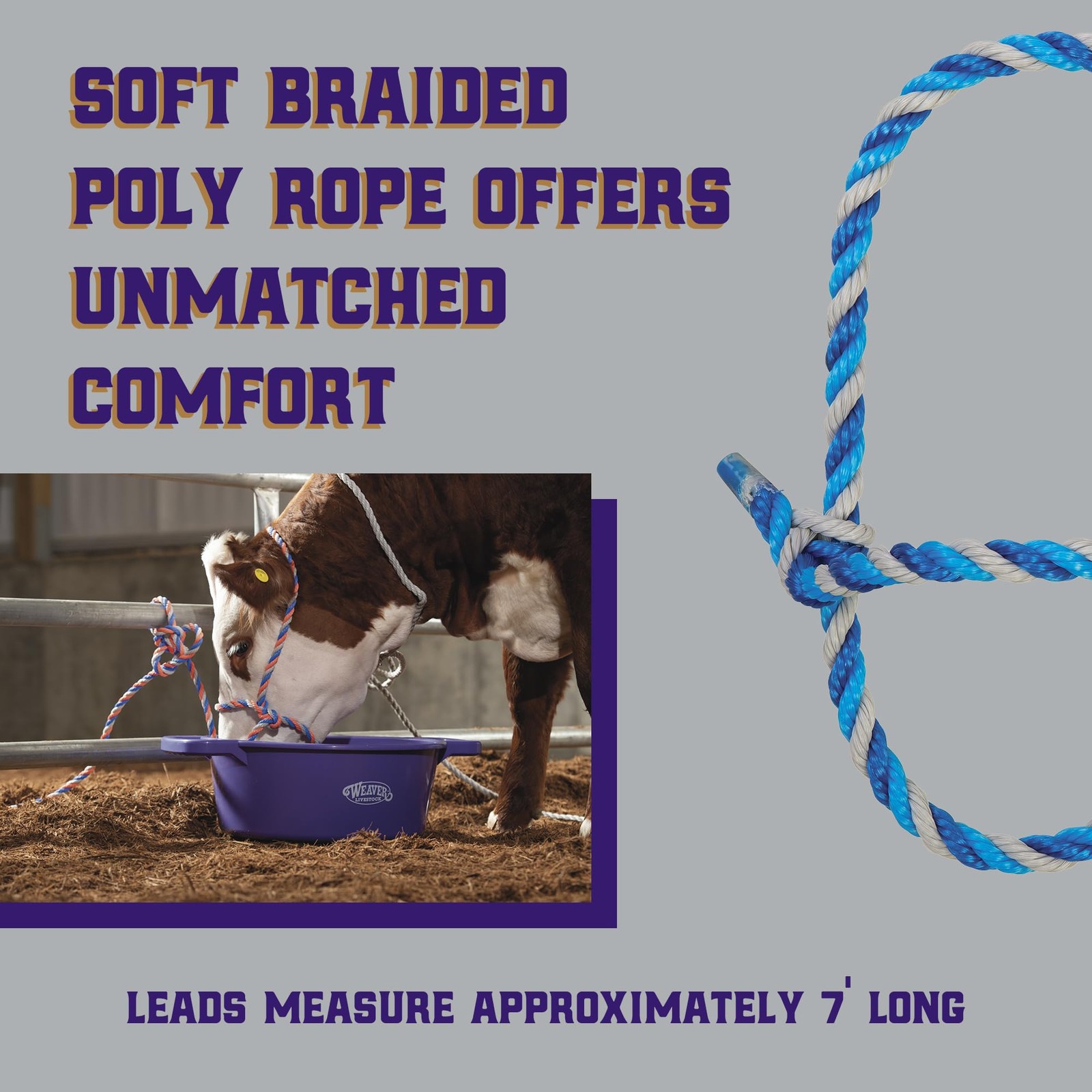 Braided Poly Rope Cattle Halter, Adjustable Cow Calf Halter, Livestock Handli