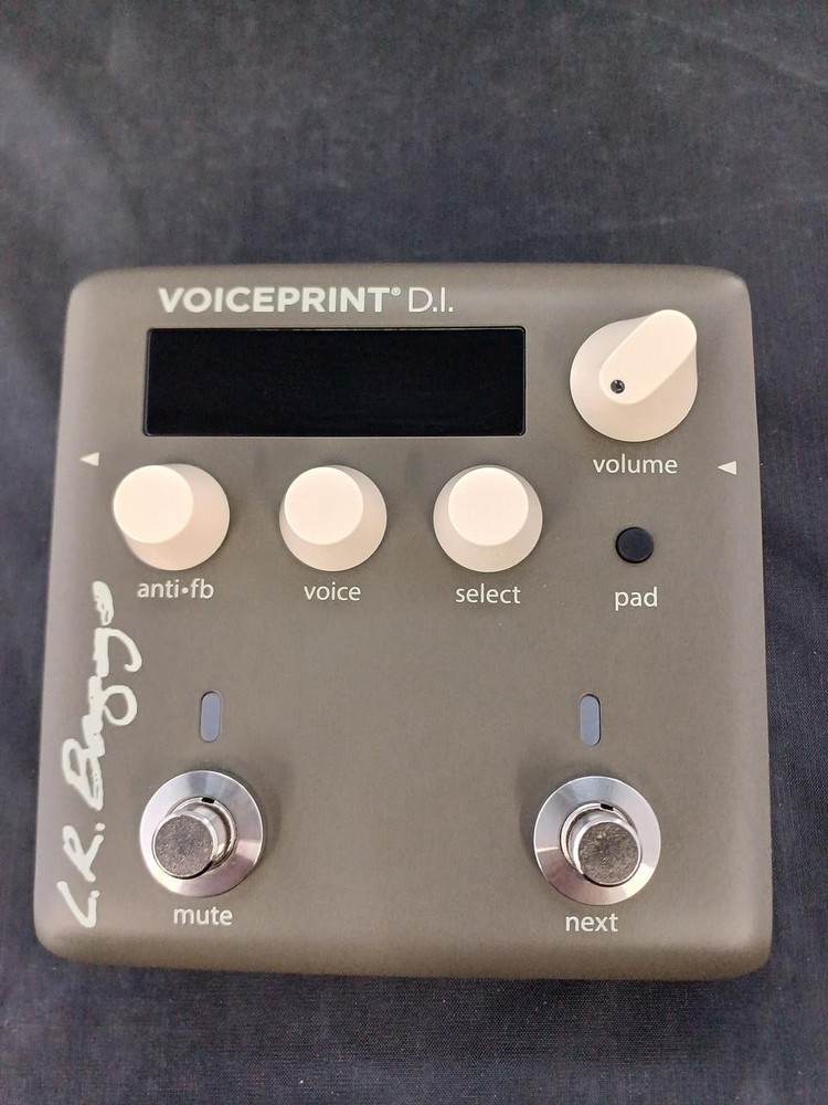 L.R.BAGGS VOICEPRINT DI Prelifier
