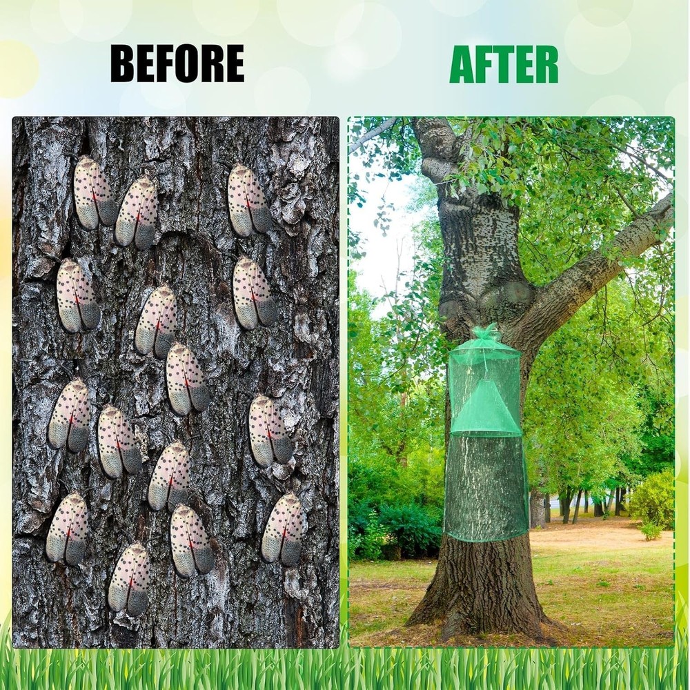4 Pack Spotted Lanternfly Traps Lantern Fly Killer Mesh Tree Trap with Jute R...