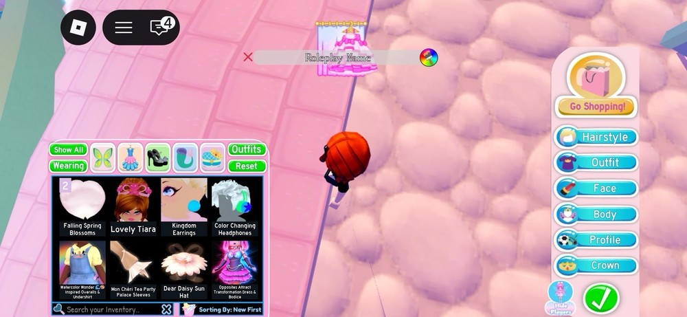 Royale High avatar inventory + 30kdims