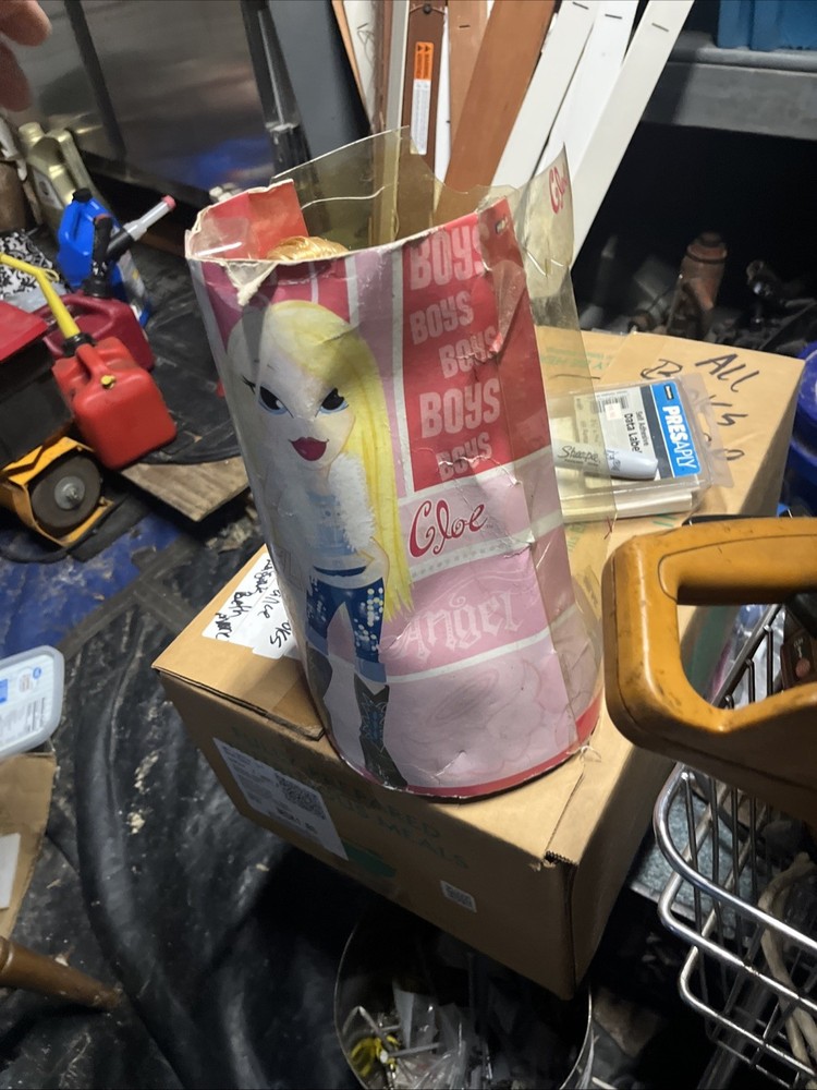 Talking Bratz Cole ( In Box But Box Is Damaged)