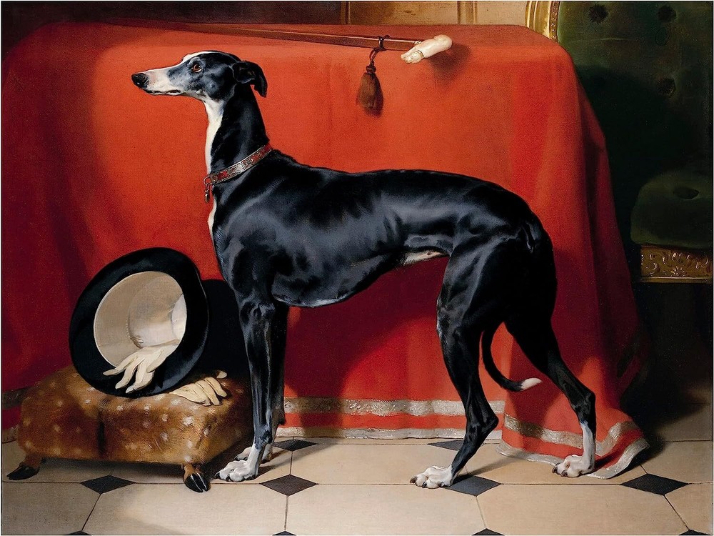 Dog E Landseer Accent Tile Mural Kitchen Bathroom Wall Backsplash Marble Ceramic