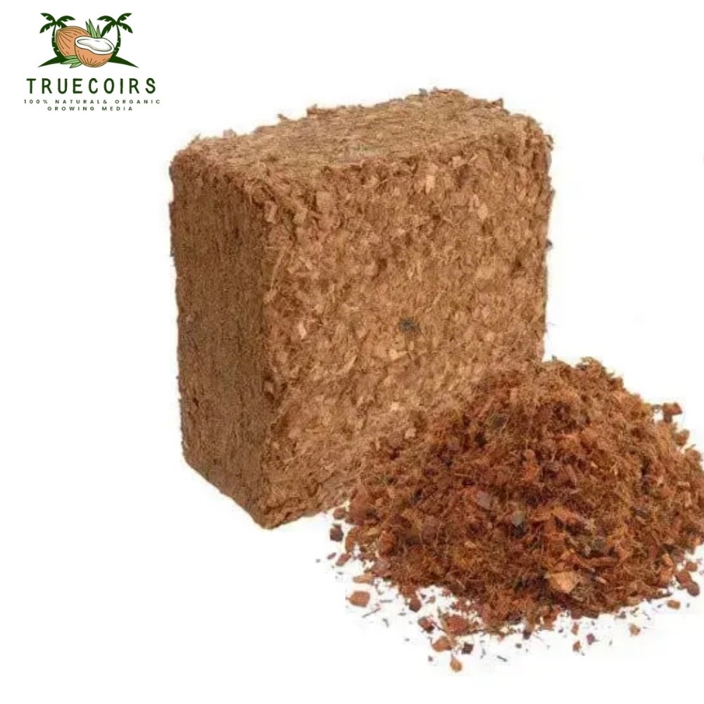 10LB CocoCoir Chunk - 100% Organic Compressed  Blocks