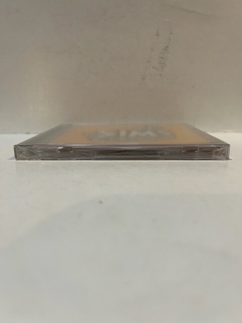 The Sims Vacation Expansion Pack - PC [video game]