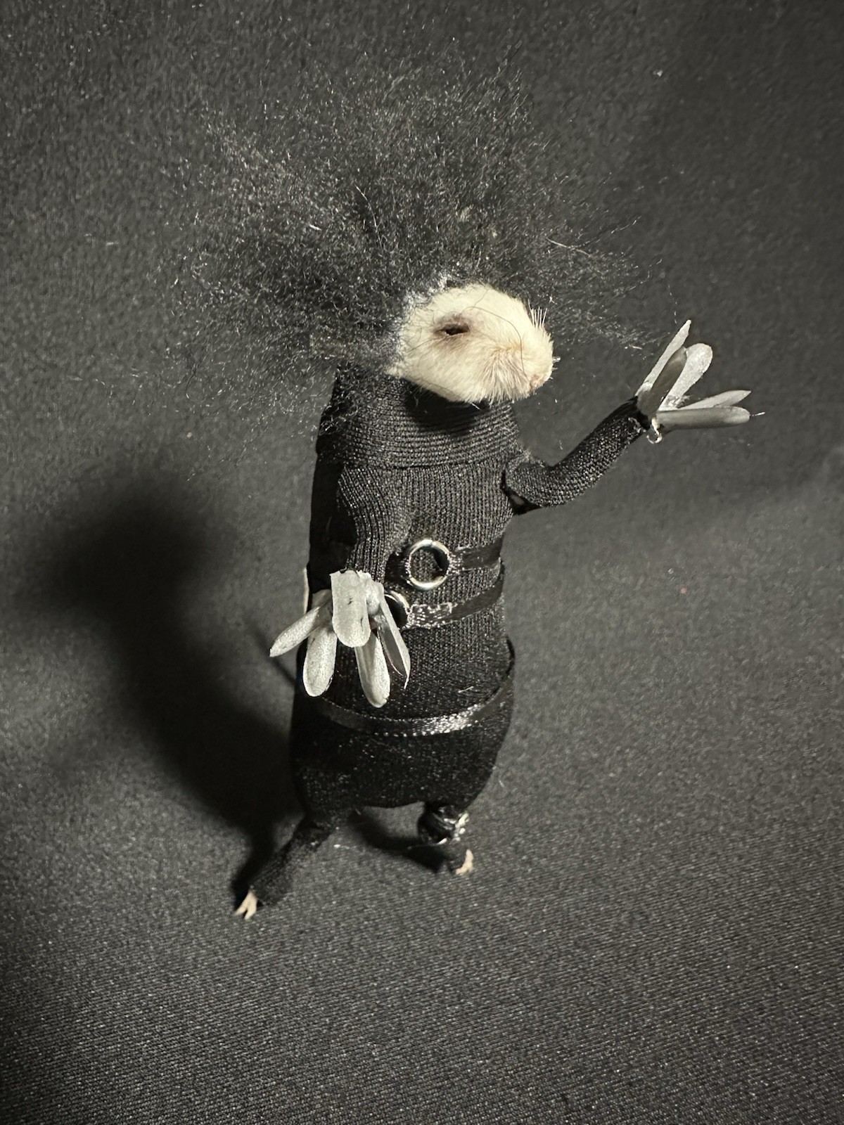 Taxidermy Mouse Edward Scissorhands Mouse Oddities Curiosities Taxidermy Art