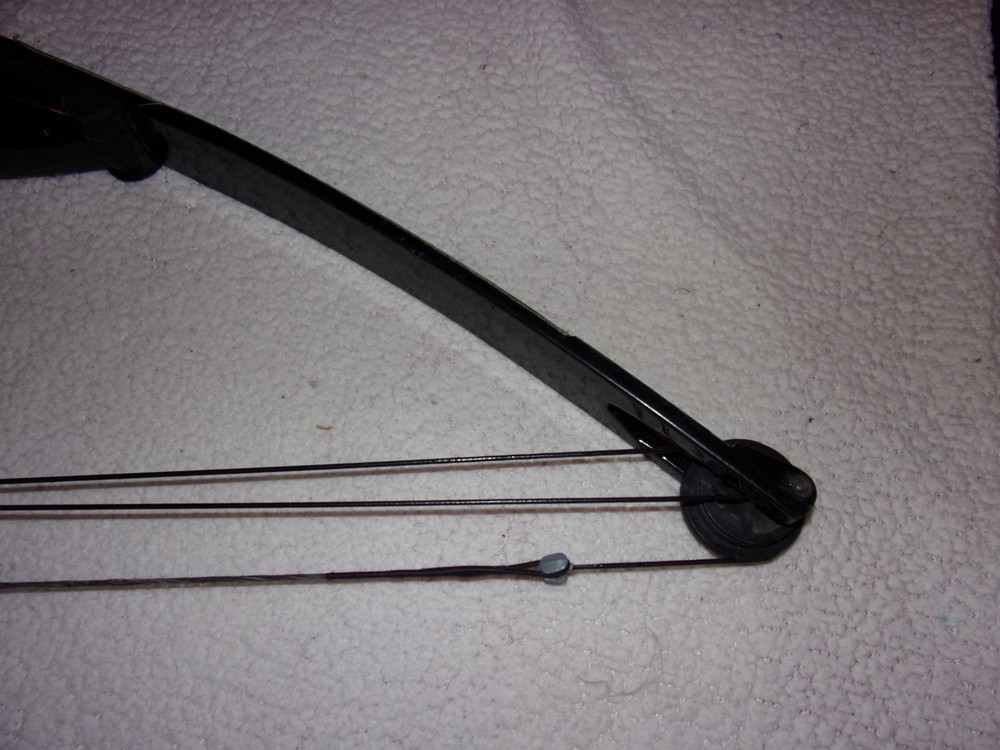 Bear Archery Compound Bow