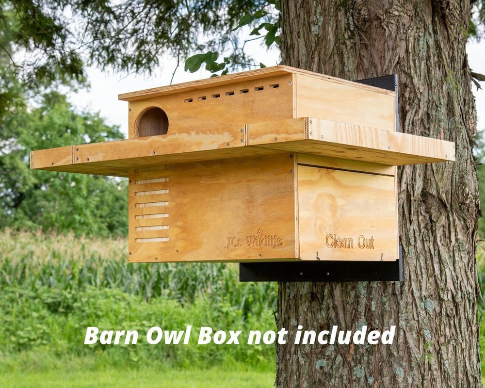 JCS Wildlife Exercise Platform for Barn Owl Nesting Box - Platform Only