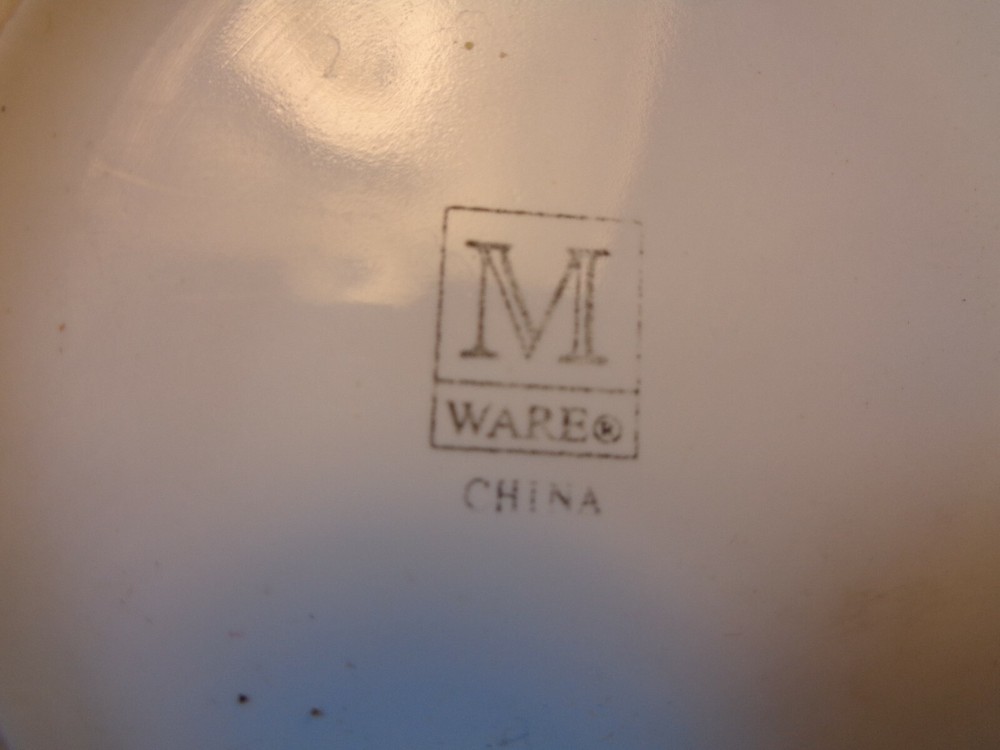 Moose Momentum/Catch The Wave Coffee Mug, MWare (Used/EUC)