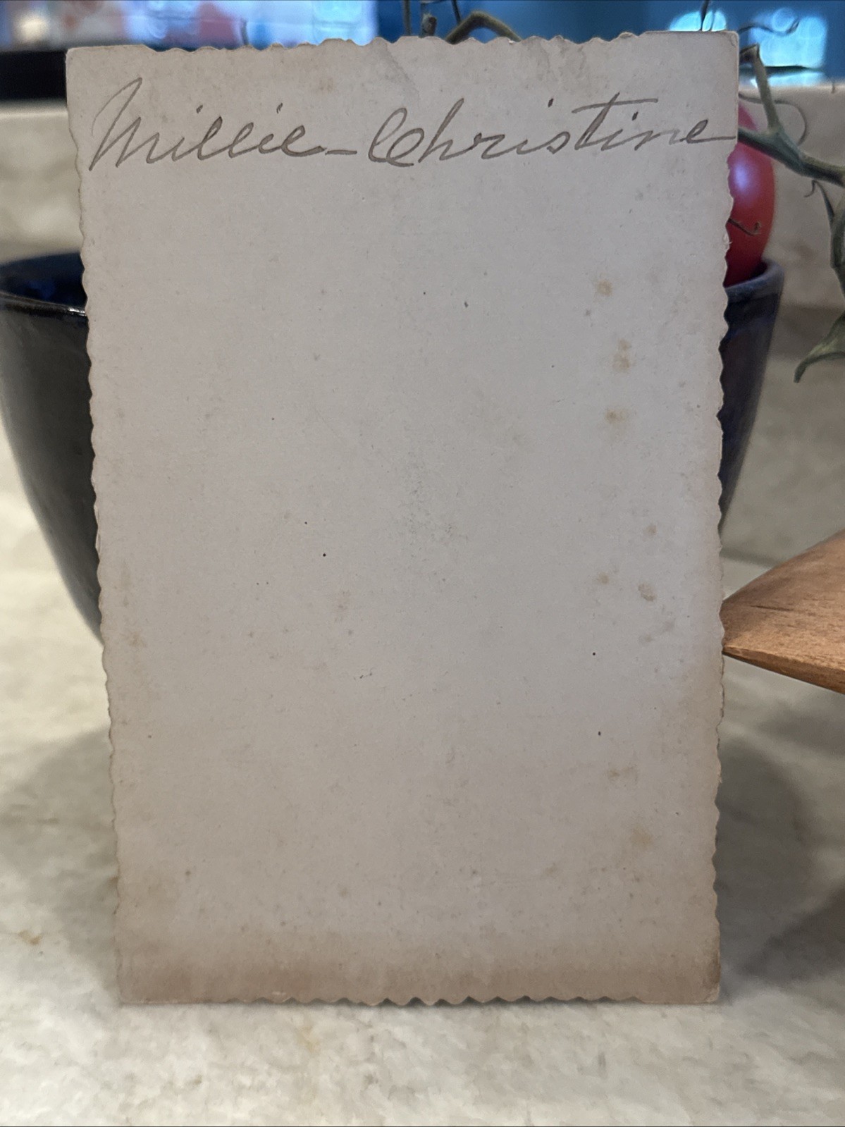 RARE 1890 African American Black Conjoined Twins Two Headed Nightingale Carolina