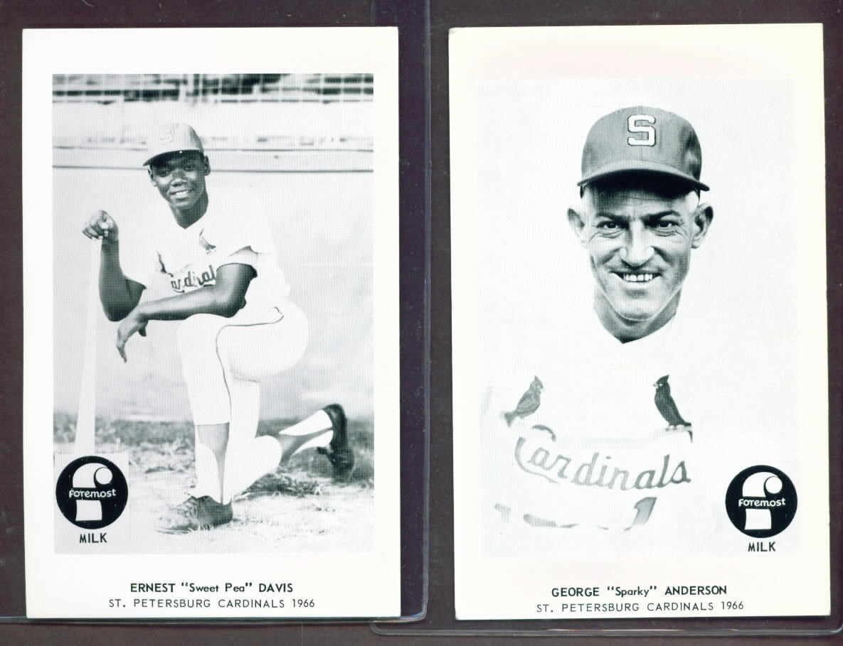 1966 Foremost Milk St. Petersburg Cardinals Set (20)  w/ Program SPARKY ANDERSON