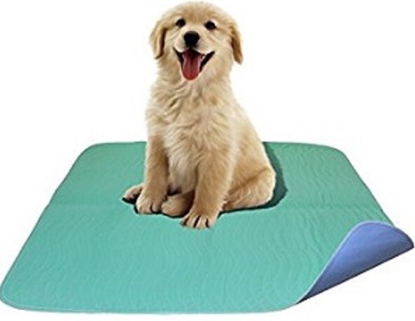 10 Reclaim hospital washable Pee Wee pads.