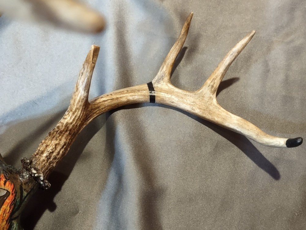 Painted European mount. 8 point, camo, grim reaper.