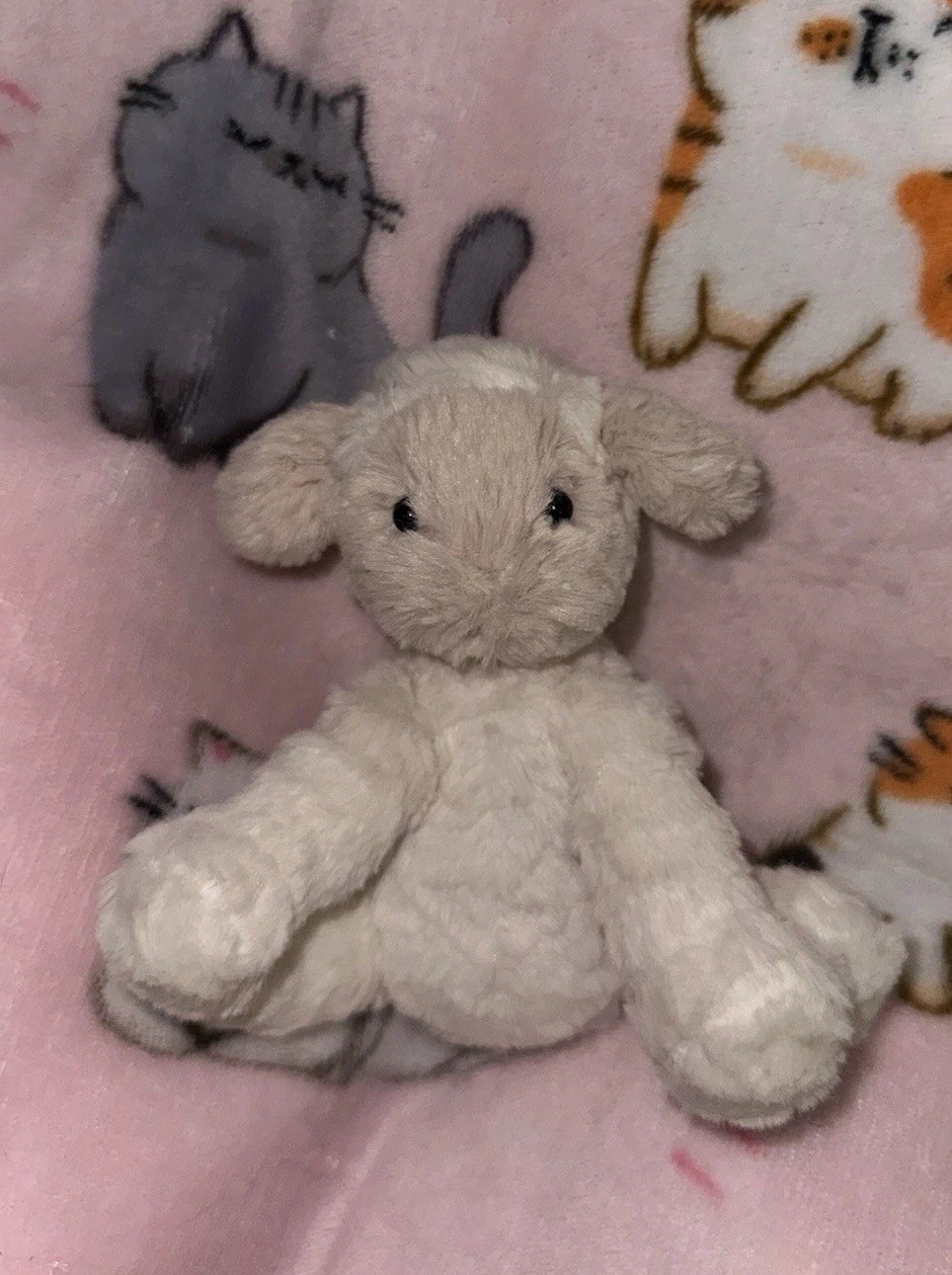 Jellycat Tiny Fuddlewuddle Lamb (Read description)