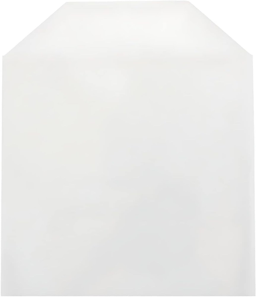 300 CPP Clear Plastic Sleeve W/ Flap No Stitches)