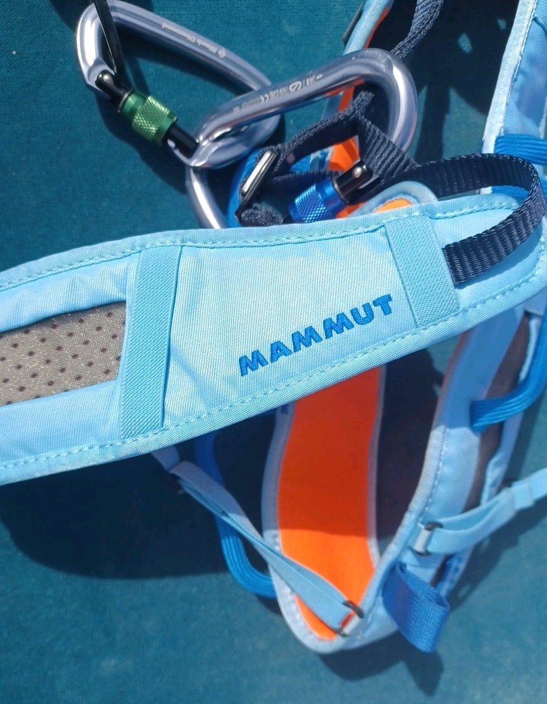 Mammut Climbing Harness