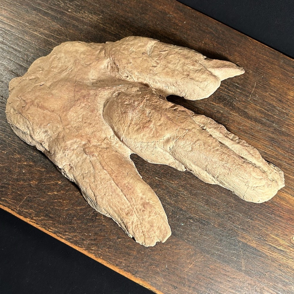 Vintage Dinosaur Footprint Plaster Cast Mold PRIORITY MAIL