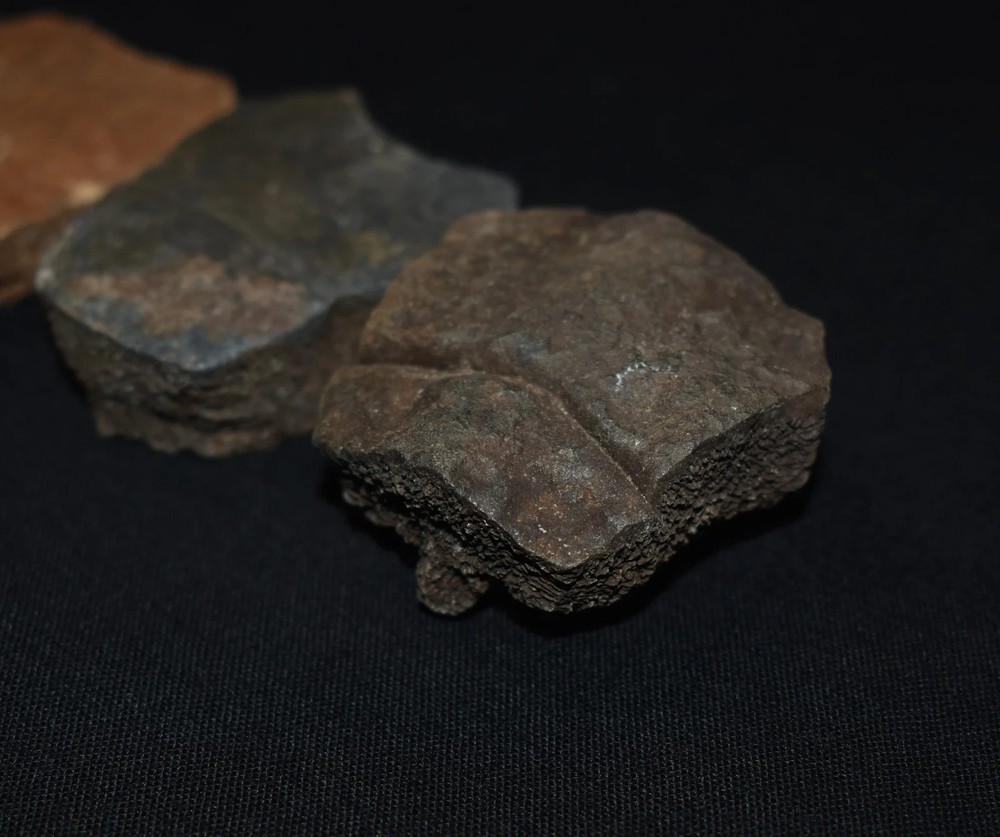 Set of Three Fossi Turtle Shell Elements (top shell pieces)