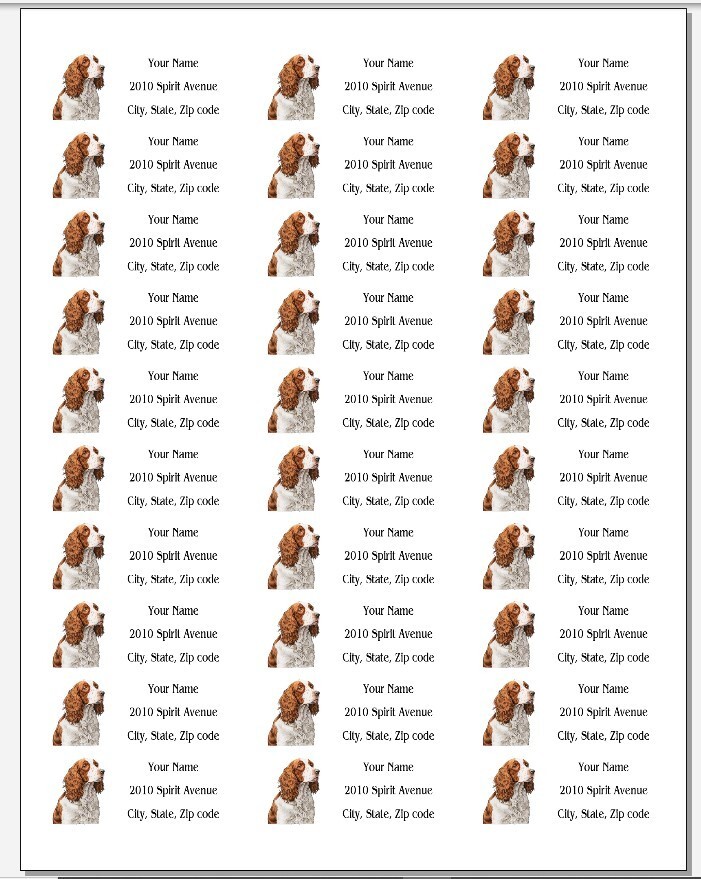 150 Welsh Springer Spaniel Dog Mailing Return Address Labels Personalized