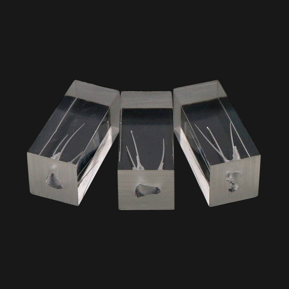 10pcs Dental Endodontic Practice Model 3 Root Canals Endo Training Block Clear