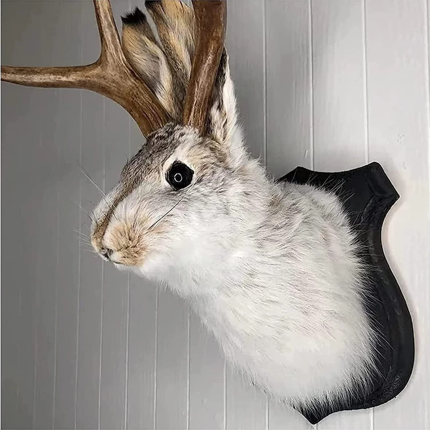 Jackalope Mount, Jackalope Taxidermy, Animal Head Wall Decor, Deer Head Wall Mou
