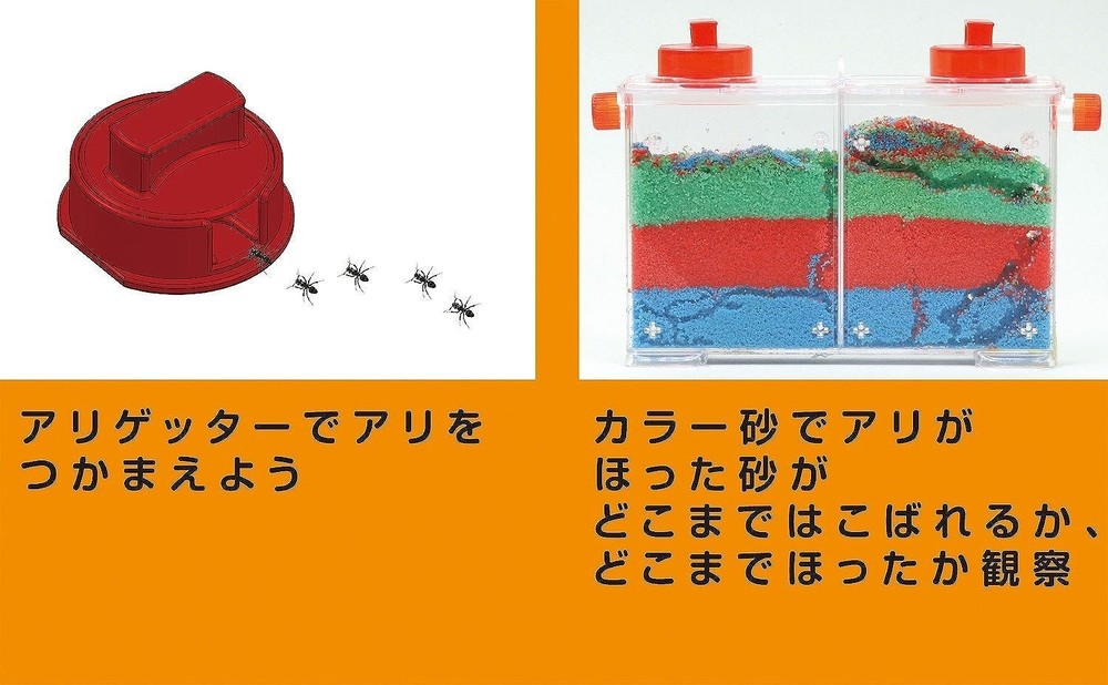 Artec Science Craft Ant Observation Set