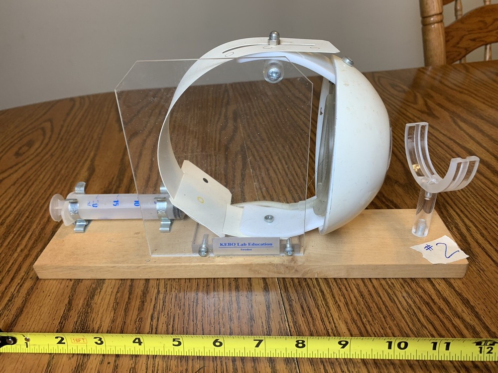 Leno Lab Sweden Functioning Eye Model Optometrist School Educational Tool #2