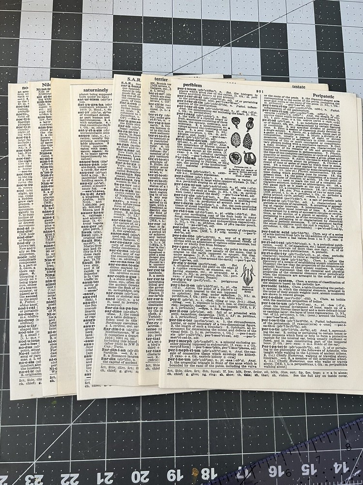 Salvaged Dictionary Pages