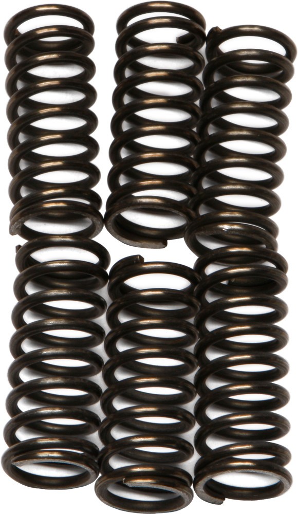 EBC Clutch Spring Set - Clutch Springs - CSK96