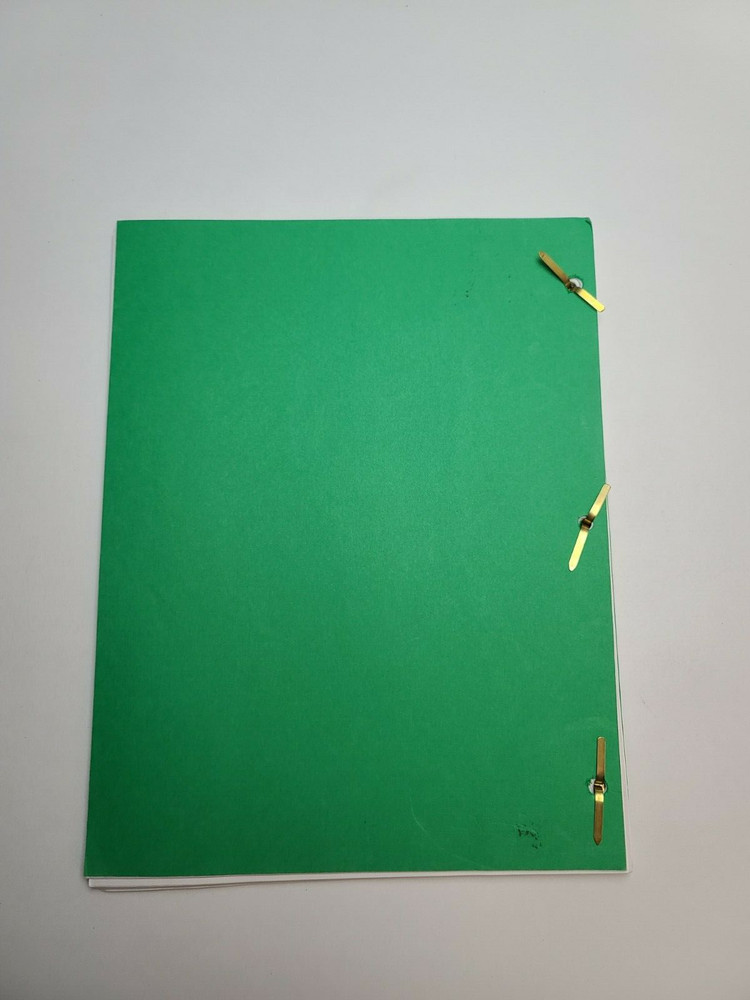CONRAD BLOOM / Heide Perlman 1998 TV Script "When Good Relatives Go Bad"