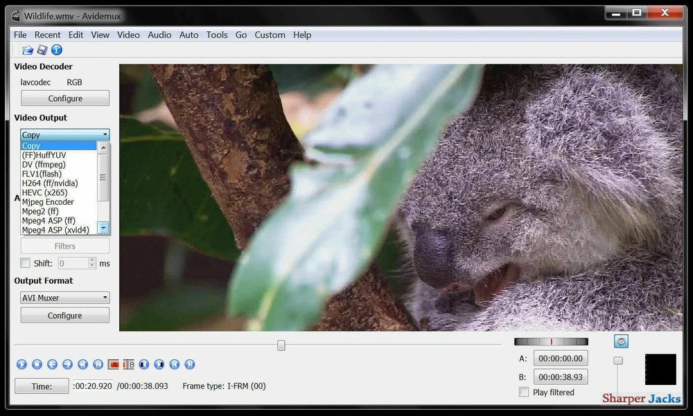 Avidemux Video / Audio Editor & Publishing Studio 2026 for Windows & Mac OS