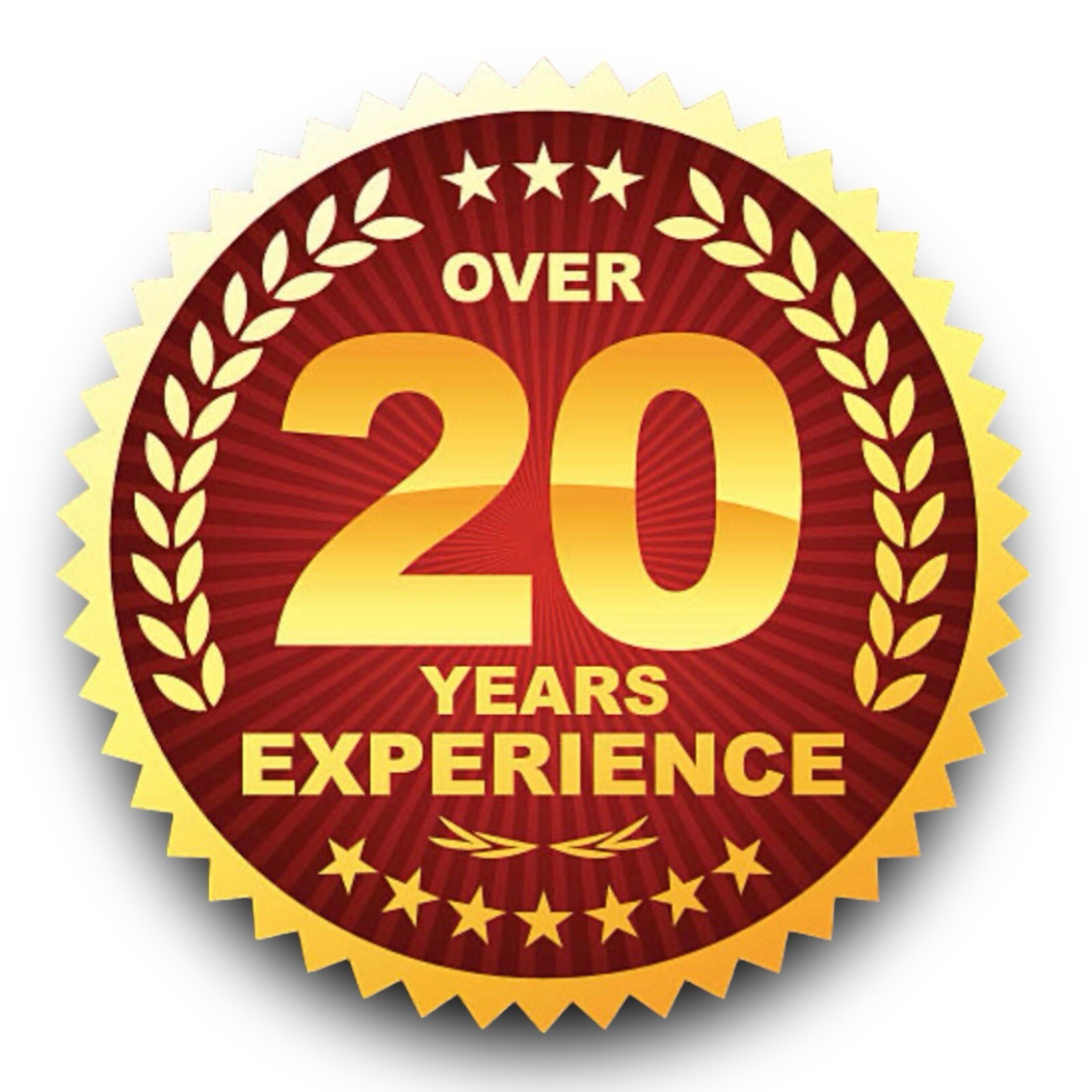 03 - 09 TOYOTA TUNDRA 4.7L V8 VENTILATION VENT VALVE PCV VALVE OEM NEW