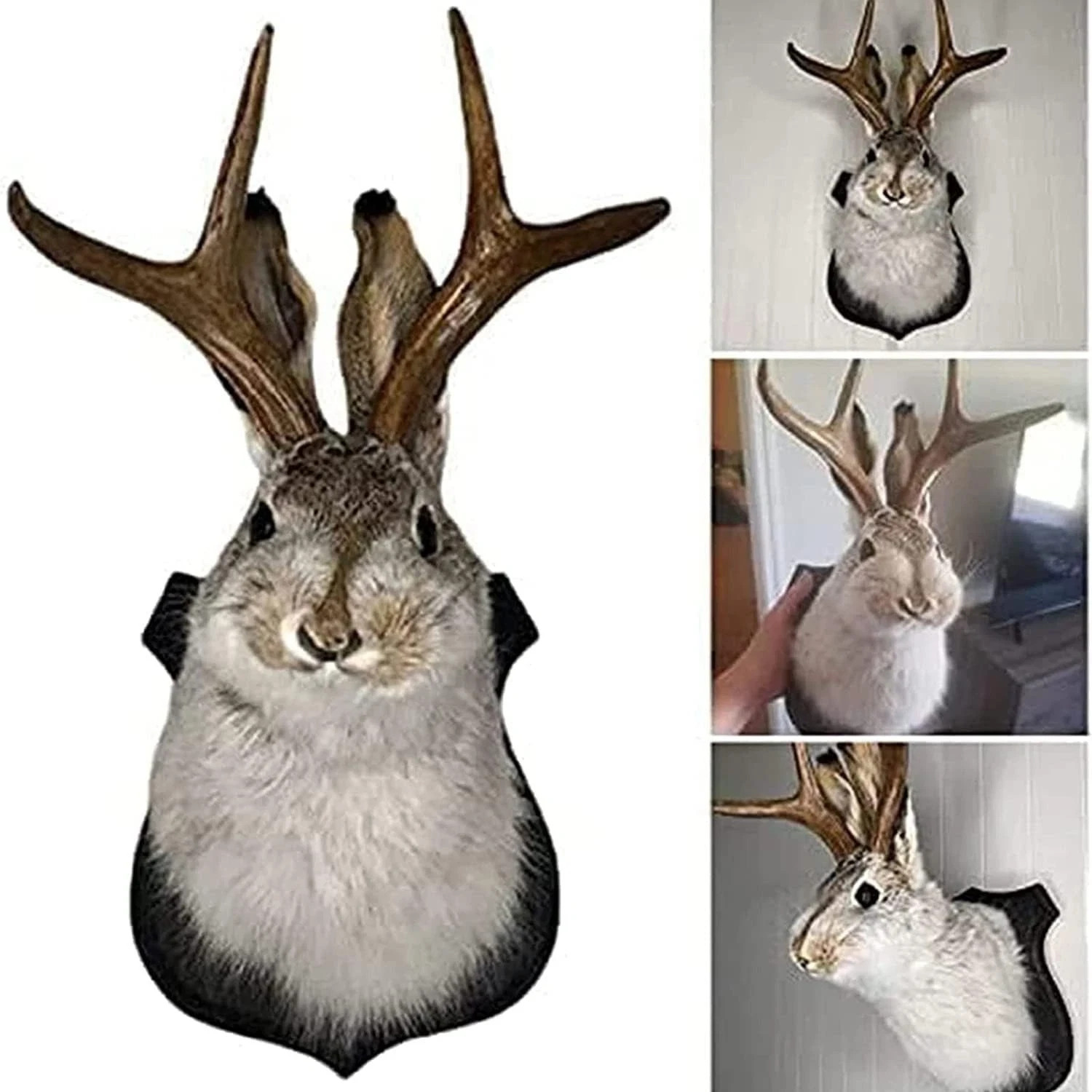 Jackalope Mount, Jackalope Taxidermy, Animal Head Wall Decor, Deer Head Wall Mou