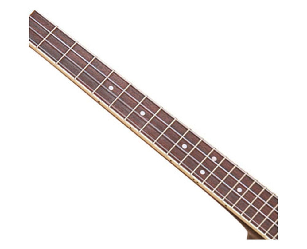 Gold Tone BUB Baritone Banjo Ukulele