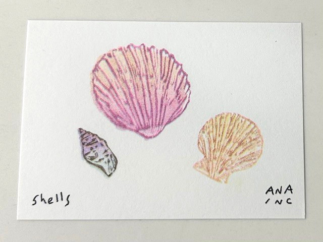 RARE - Anastasia Inciardi "Shells" Mini Print