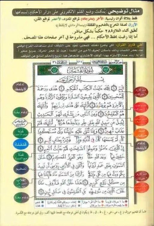 Tajweed Quran – Medium Size, Color-Coded Arabic Text Only