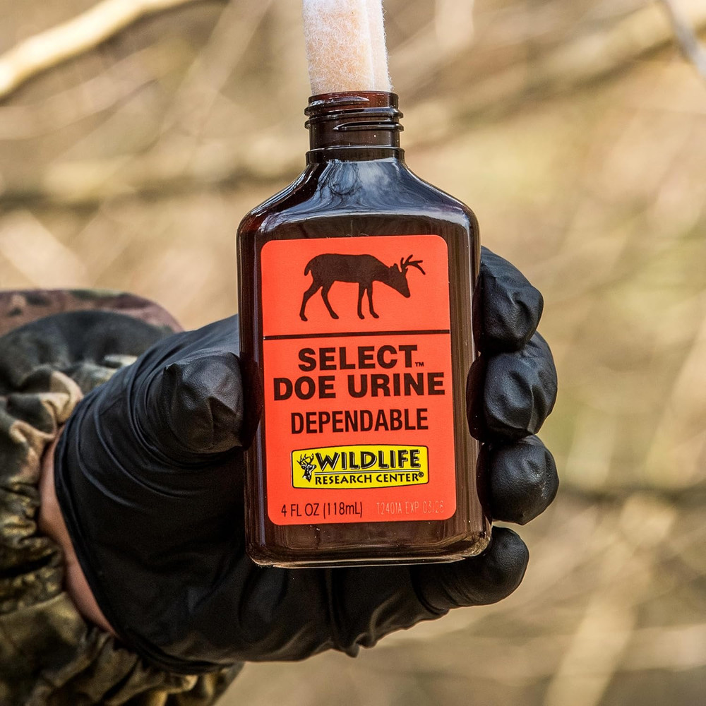 deer Attractant