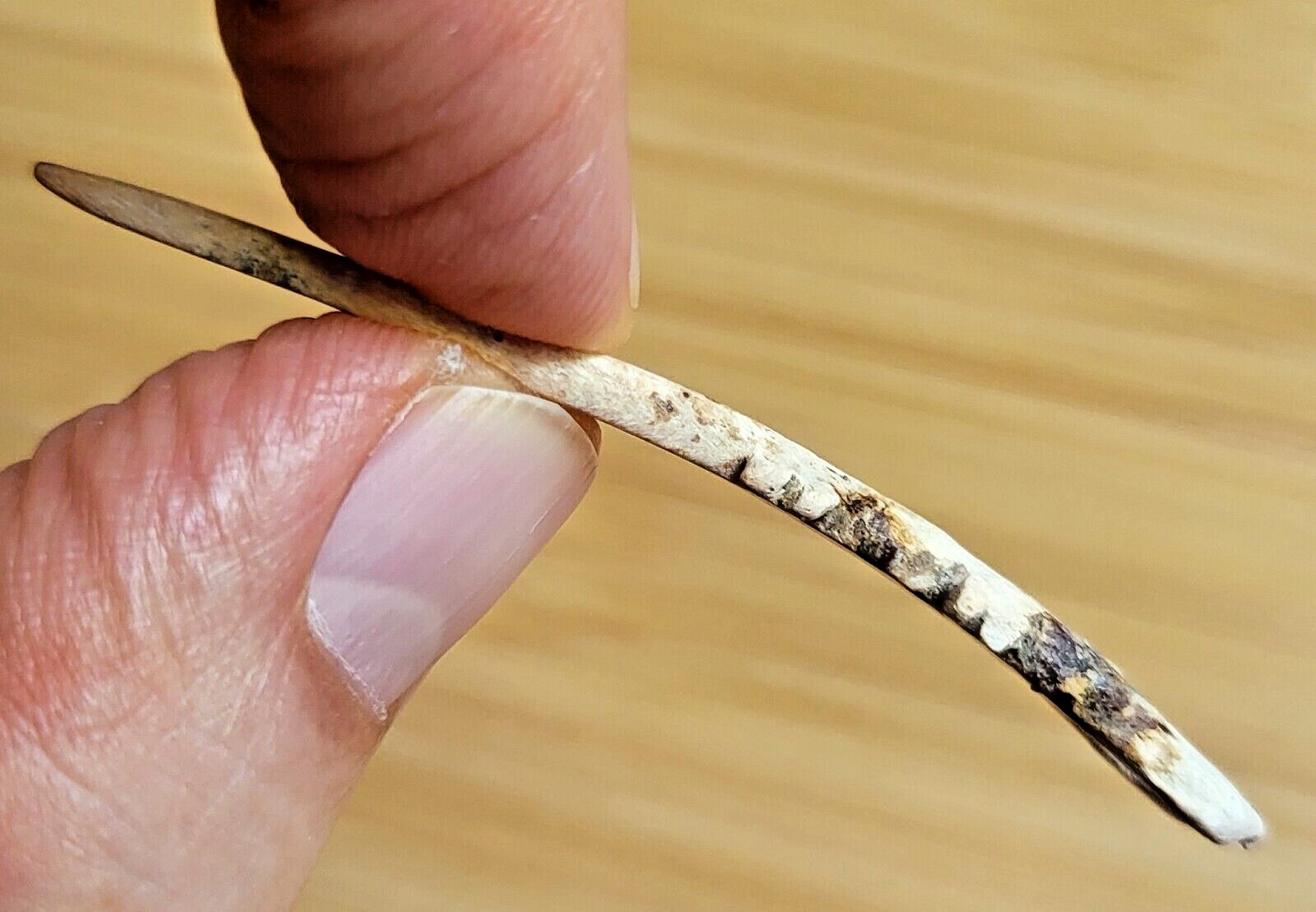 AUTHENTIC -- c. 2000 YEAR OLD PRE-COLUMBIAN COLIMA CARVED SHELL PENDANT - MEXICO