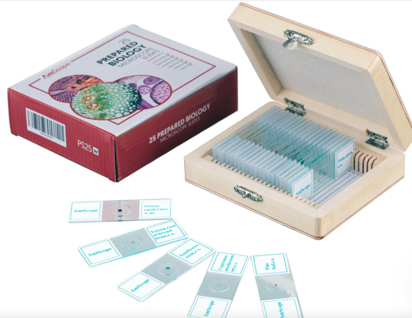 AmScope 25pc Glass Prepared Microscope Slides in Wood Case