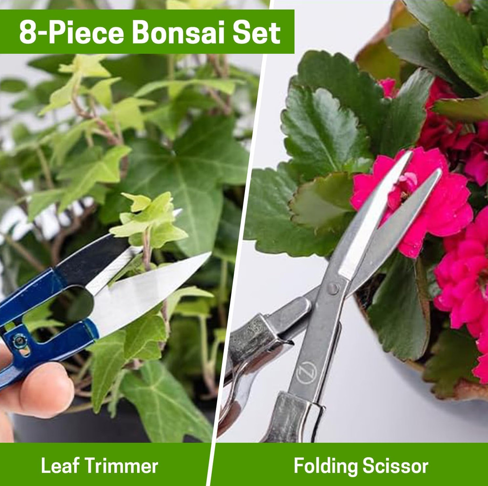 Bonsai Set 8 Pcs - Include Pruner, Fold Scissors, Mini Rake, Bud & Leaf Trimmer