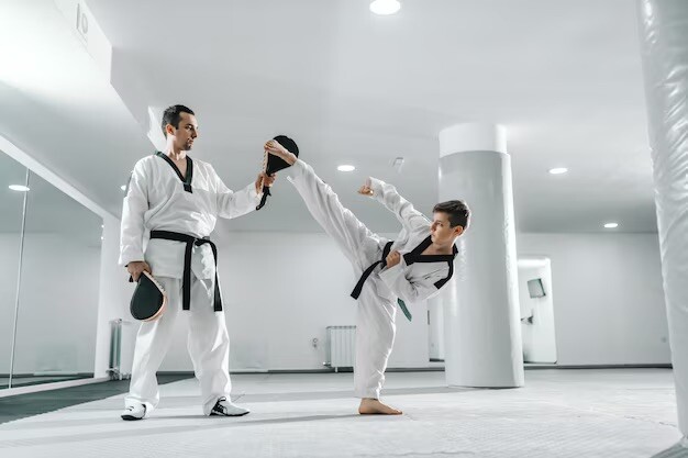 Kick Training Target, Motto. Taekwondo, Karate , Boxing…
