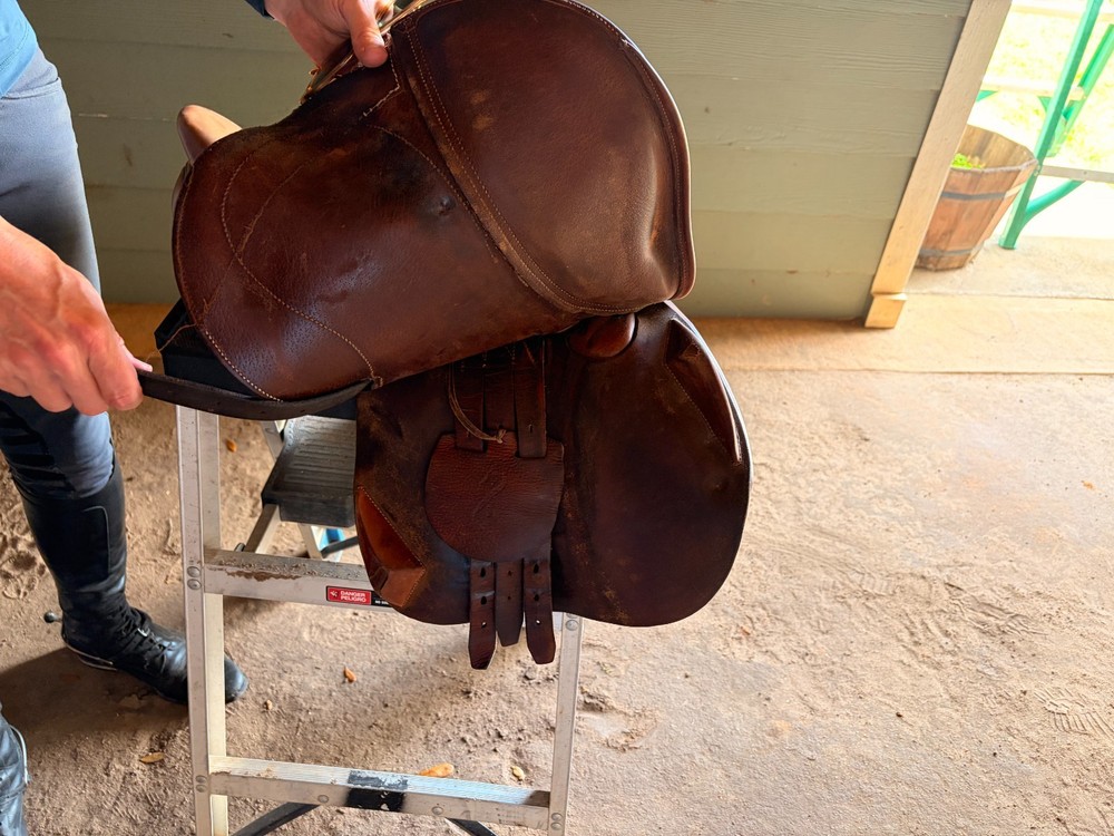Antares Jump Saddle (estimated 16", used condition)