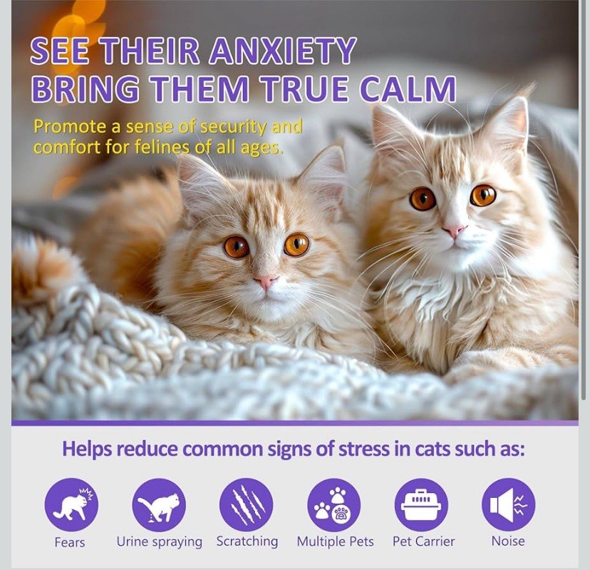 cat Diffuser Calming