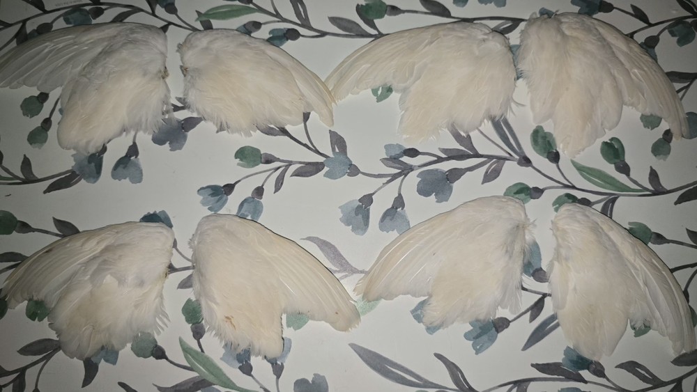 Cured White Quail Wings 2peice