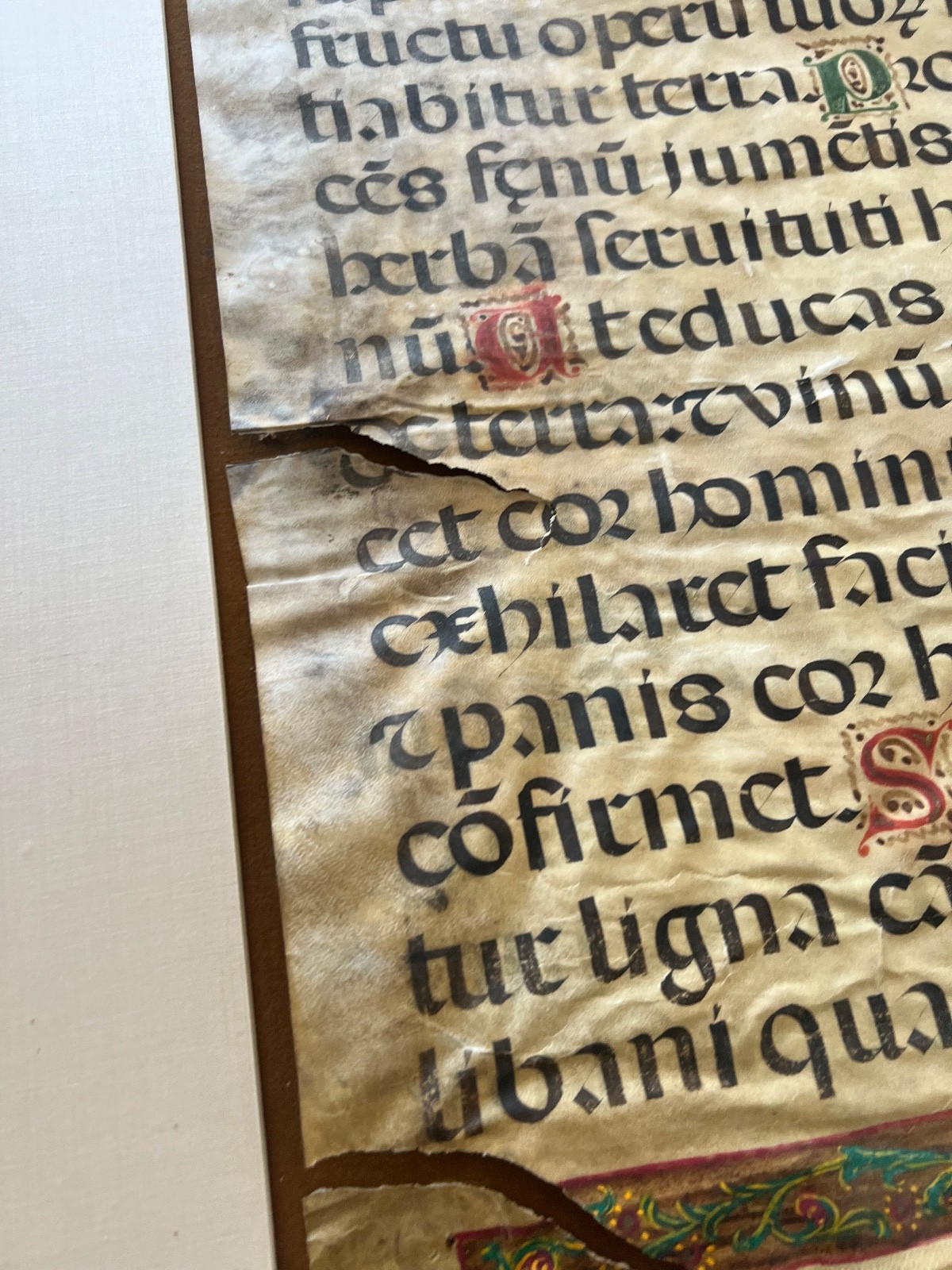 Rare Museum Large 15th century Illuminated Manuscript Leaf on Parchment